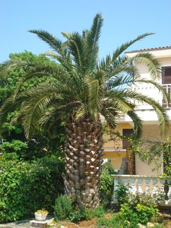 Apartments Labor Vodice Chambre photo