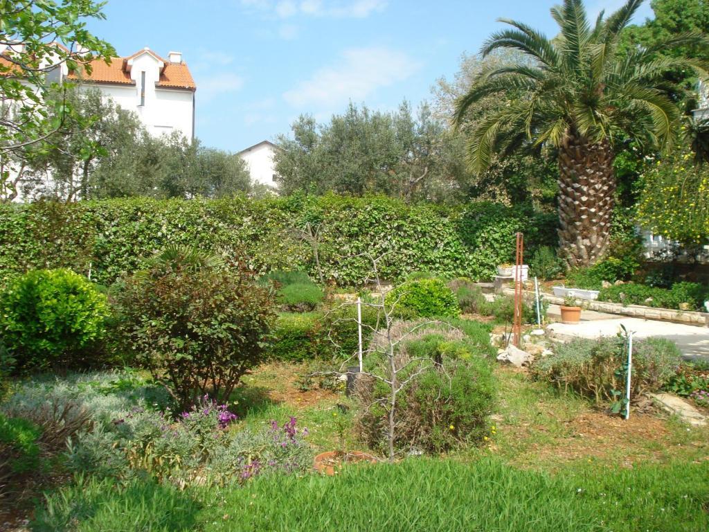 Apartments Labor Vodice Chambre photo